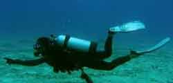 Scuba diving and deep sea fishing